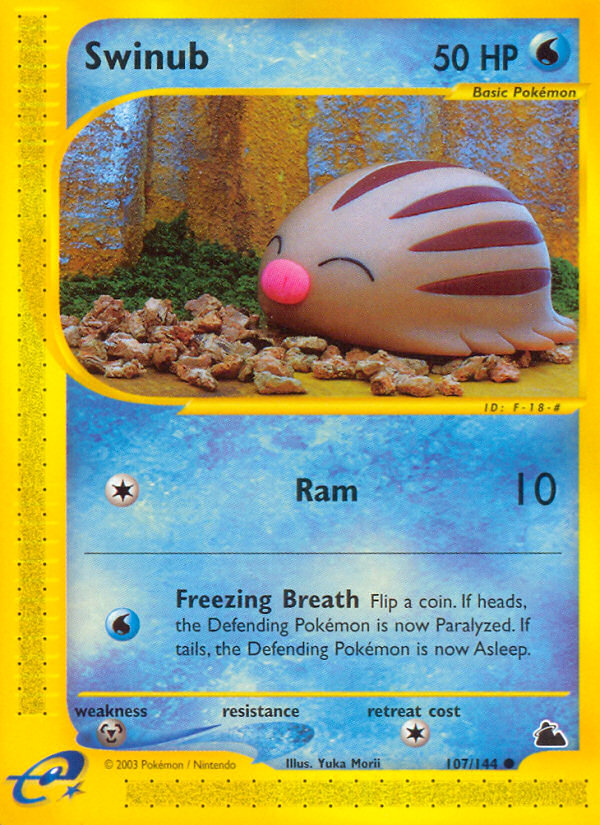 Swinub (107/144) [Skyridge] - Comfy Hobbies