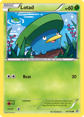 Lotad (10/160) [XY: Primal Clash] - Comfy Hobbies