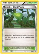 Forest of Giant Plants (74/98) [XY: Ancient Origins] - Comfy Hobbies