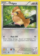 Pidgey (11/30) [XY: Trainer Kit 1 - Wigglytuff] - Comfy Hobbies