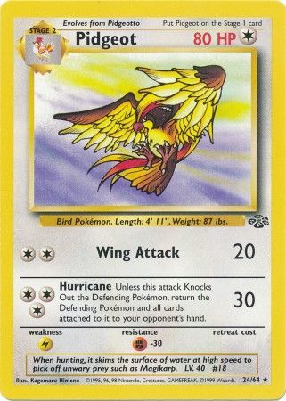 Pidgeot (24/64) [Jungle Unlimited] - Comfy Hobbies