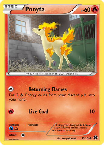 Ponyta (16/114) [XY: Steam Siege] - Comfy Hobbies