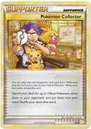 Pokemon Collector (27/30) [HeartGold & SoulSilver: Trainer Kit - Raichu] - Comfy Hobbies