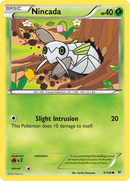 Nincada (9/108) [XY: Roaring Skies] - Comfy Hobbies