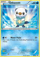 Oshawott (BW03) [Black & White: Black Star Promos] - Comfy Hobbies