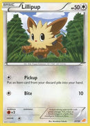 Lillipup (27/30) [Black & White: Trainer Kit - Excadrill] - Comfy Hobbies