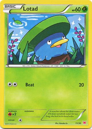 Lotad (11/30) [XY: Trainer Kit 2 - Latias] - Comfy Hobbies