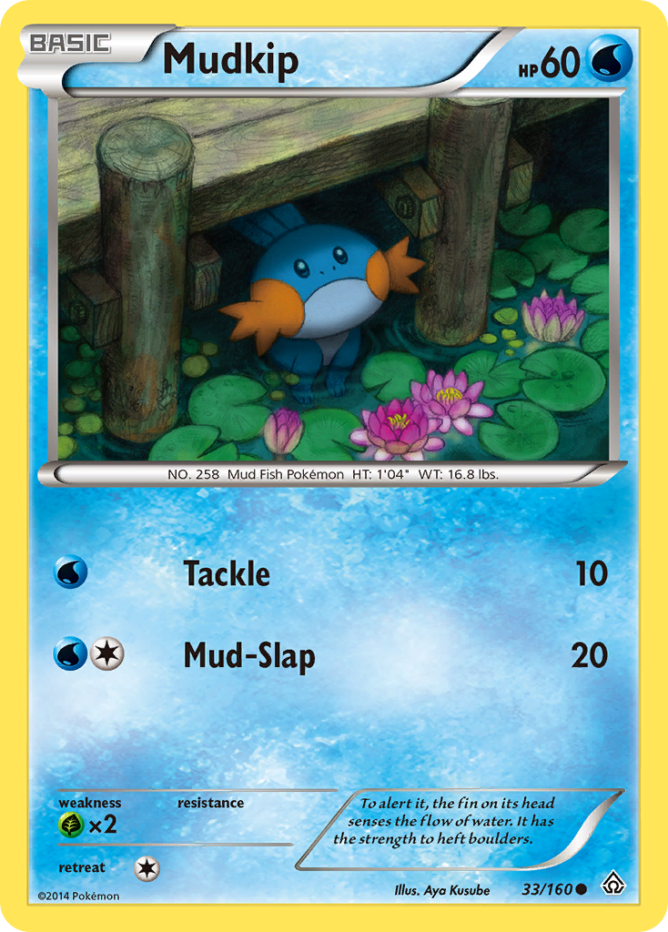 Mudkip (33/160) [XY: Primal Clash] - Comfy Hobbies