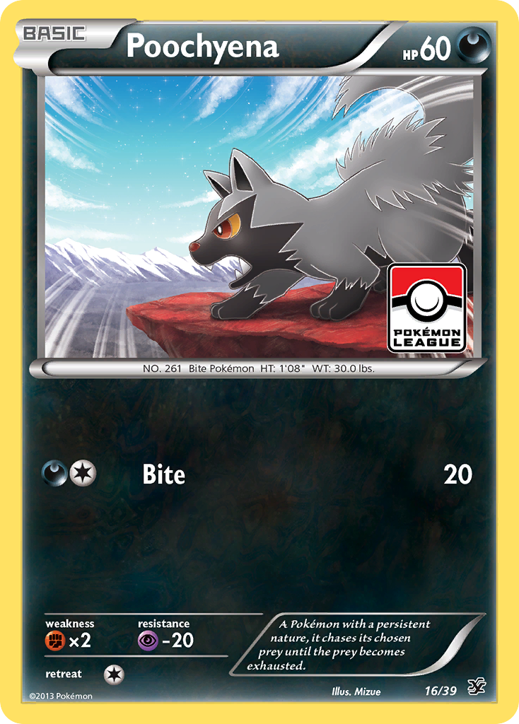 Poochyena (16/39) [XY: Kalos Starter Set] - Comfy Hobbies