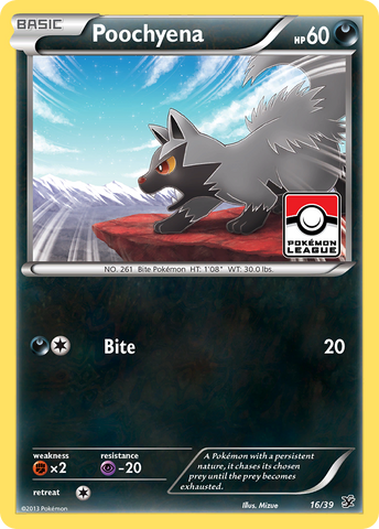 Poochyena (16/39) [XY: Kalos Starter Set] - Comfy Hobbies