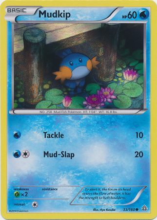 Mudkip (33/160) (Sheen Holo) [XY: Primal Clash] - Comfy Hobbies