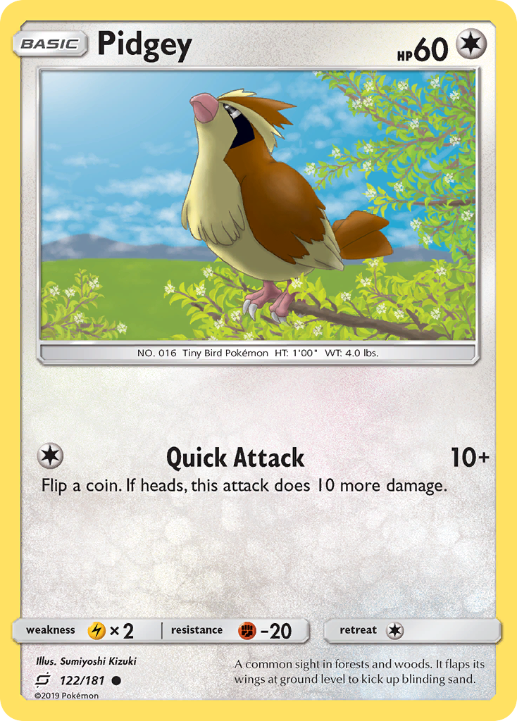 Pidgey (122/181) [Sun & Moon: Team Up] - Comfy Hobbies
