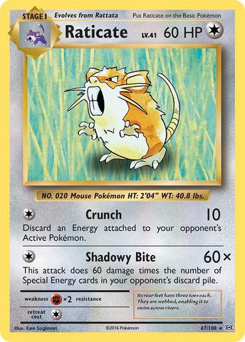 Raticate (67/108) [XY: Evolutions] - Comfy Hobbies