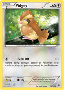 Pidgey (75/106) [XY: Flashfire] - Comfy Hobbies