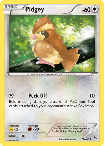 Pidgey (75/106) [XY: Flashfire] - Comfy Hobbies