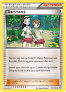 Teammates (141/160) [XY: Primal Clash] - Comfy Hobbies