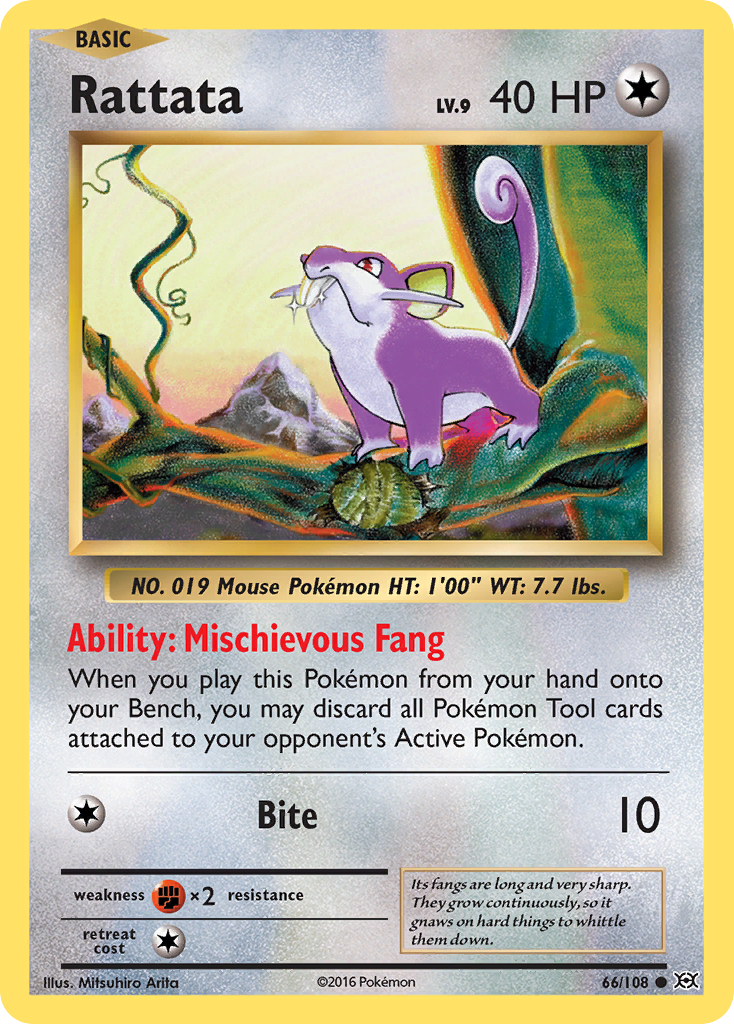 Rattata (66/108) [XY: Evolutions] - Comfy Hobbies