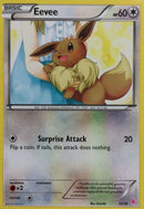 Eevee (13/30) [XY: Trainer Kit - Sylveon] - Comfy Hobbies