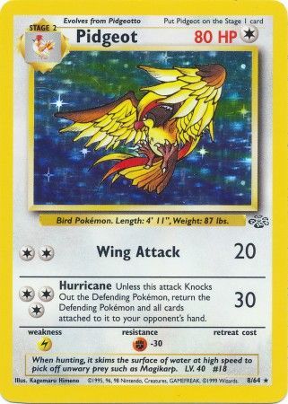 Pidgeot (8/64) [Jungle Unlimited] - Comfy Hobbies