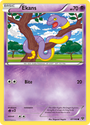 Ekans (47/146) [XY: Base Set] - Comfy Hobbies