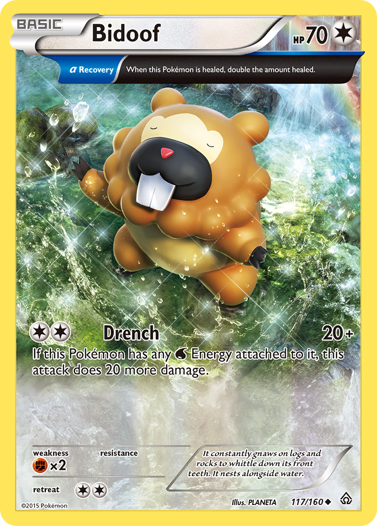 Bidoof (117/160) [XY: Primal Clash] - Comfy Hobbies