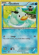 Ducklett (24/30) [XY: Trainer Kit 3 - Suicune] - Comfy Hobbies