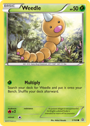 Weedle (1/160) [XY: Primal Clash] - Comfy Hobbies
