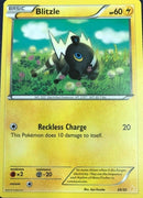 Blitzle (26/30) [XY: Trainer Kit 3 - Pikachu Libre] - Comfy Hobbies
