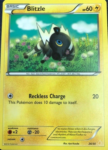 Blitzle (26/30) [XY: Trainer Kit 3 - Pikachu Libre] - Comfy Hobbies