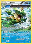 Ludicolo (37/160) [XY: Primal Clash] - Comfy Hobbies
