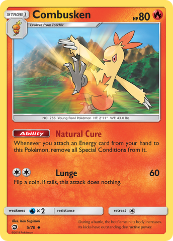 Combusken (5/70) [Sun & Moon: Dragon Majesty] - Comfy Hobbies