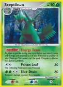 Sceptile (10/100) [Diamond & Pearl: Stormfront] - Comfy Hobbies