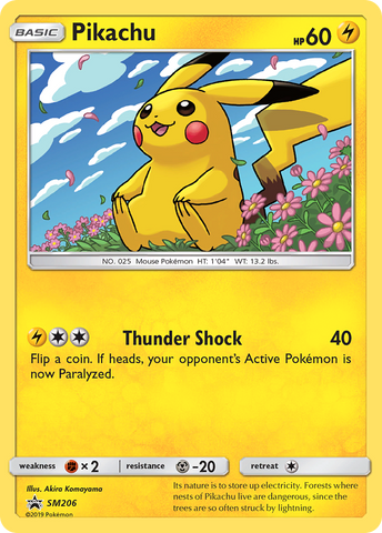 Pikachu (SM206) [Sun & Moon: Black Star Promos] - Comfy Hobbies