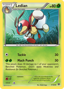 Ledian (7/146) [XY: Base Set] - Comfy Hobbies