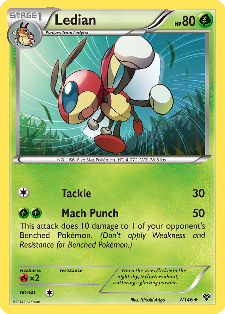 Ledian (7/146) [XY: Base Set] - Comfy Hobbies