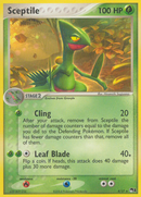 Sceptile (4/17) [POP Series 1] - Comfy Hobbies