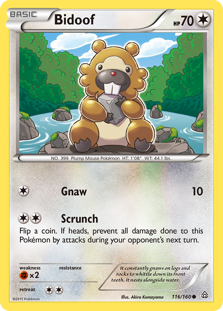 Bidoof (116/160) [XY: Primal Clash] - Comfy Hobbies