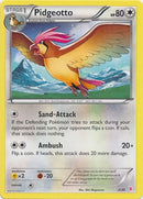 Pidgeotto (2/30) [XY: Trainer Kit 1 - Wigglytuff] - Comfy Hobbies